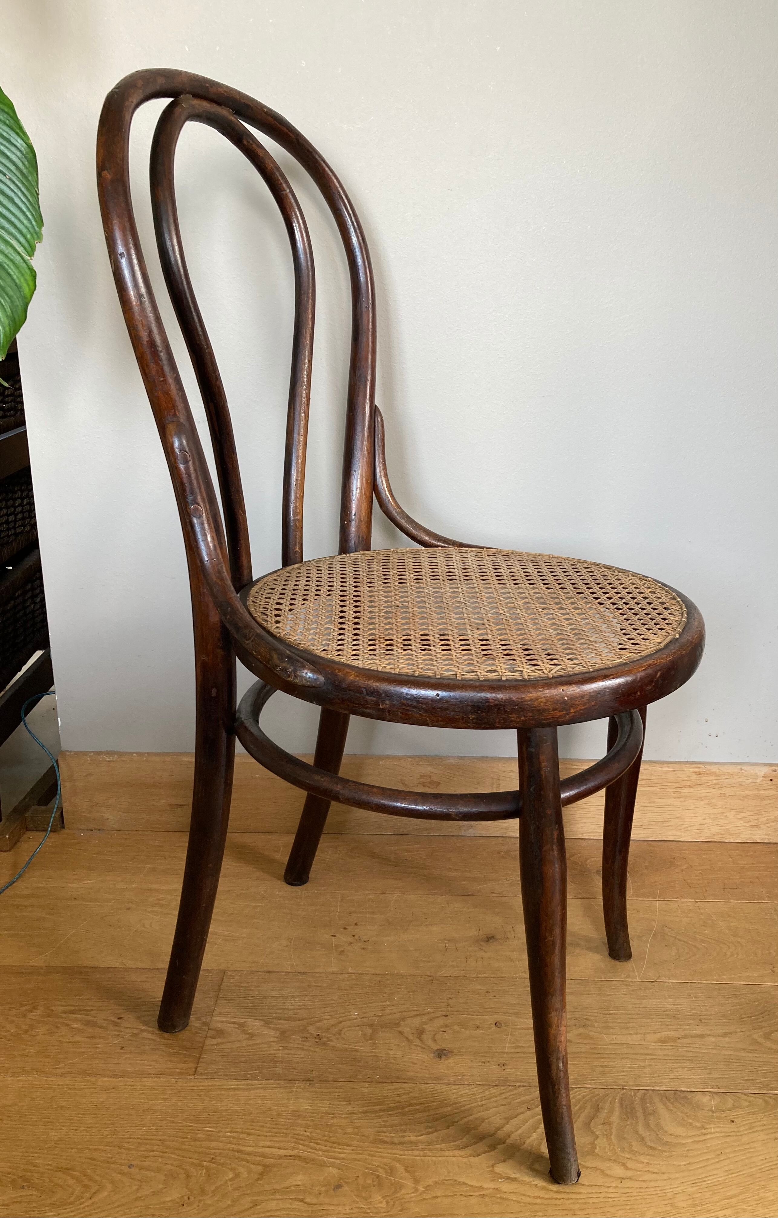 Real Tuna Chair in curved wood, label + hot iron stamp