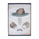 Educational poster, snail, lithograph, Karl Jansky, Böhmen, 1897