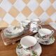Set of fine porcelain tea cups & saucers 222 FIFTH "Wild Flower"