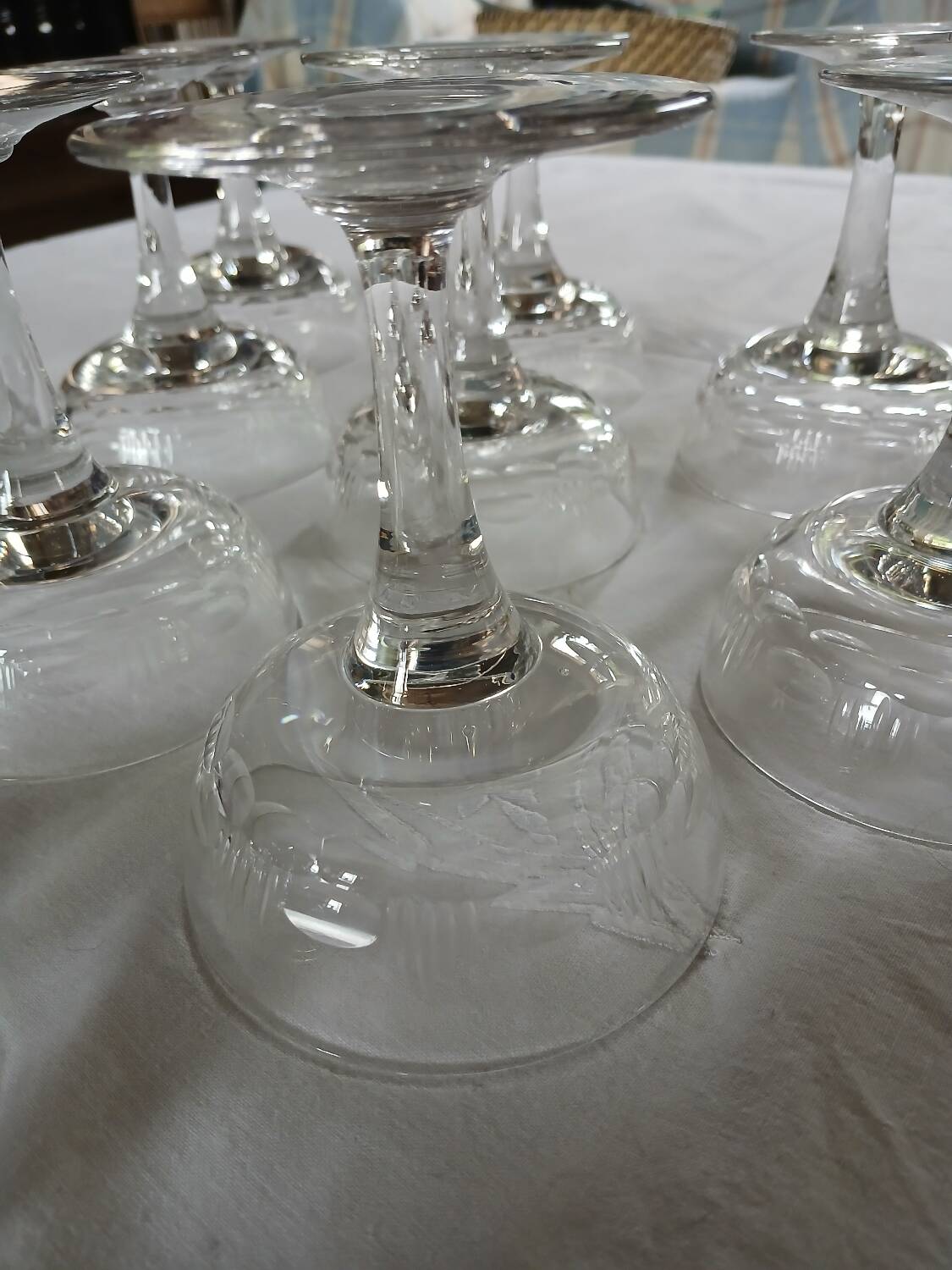 11 antique champagne glasses