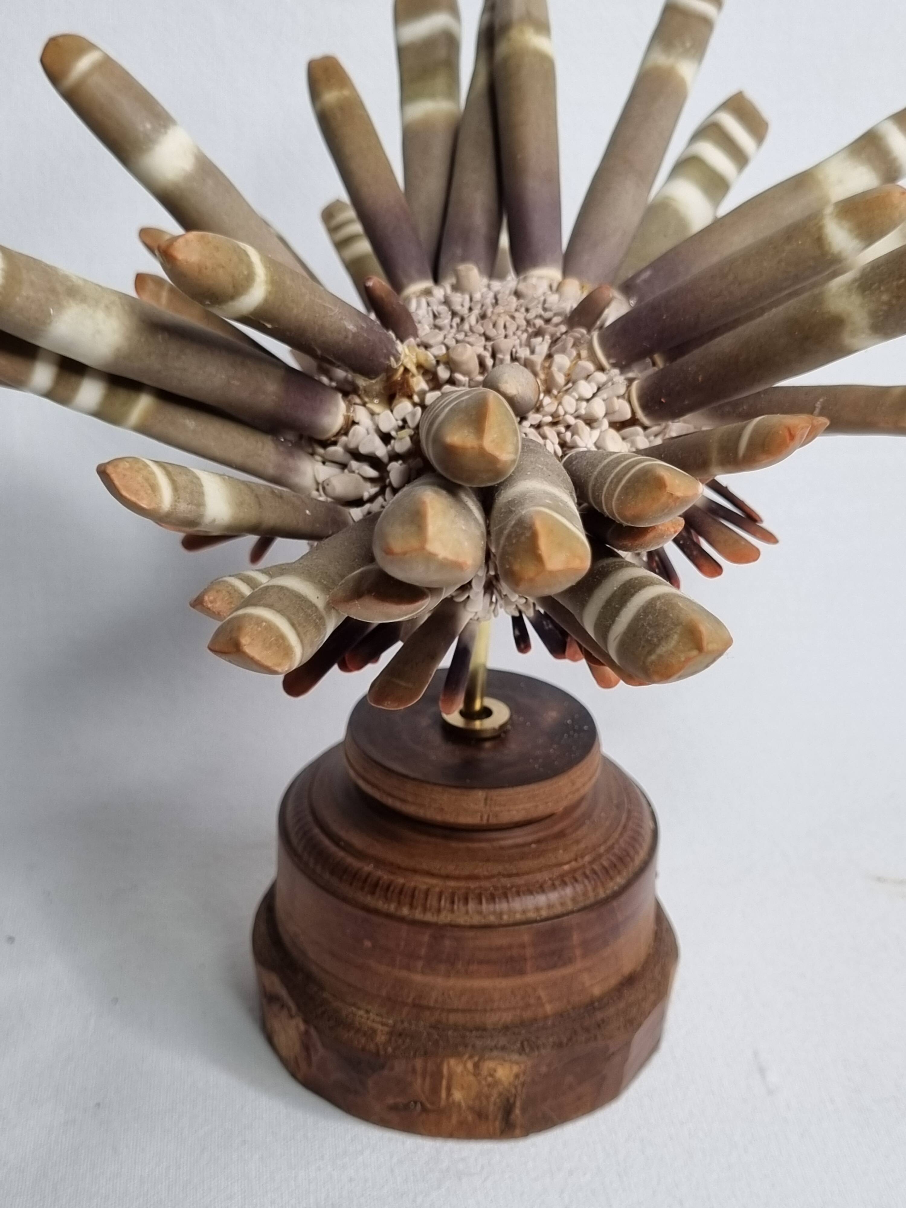 Antique sea urchin pencil on turned wooden base, 22 cm