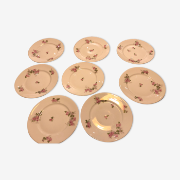 Dessert plates