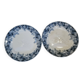 Pair of antique asparagus plates "Récamier" in Terre de Fer, Sarregue