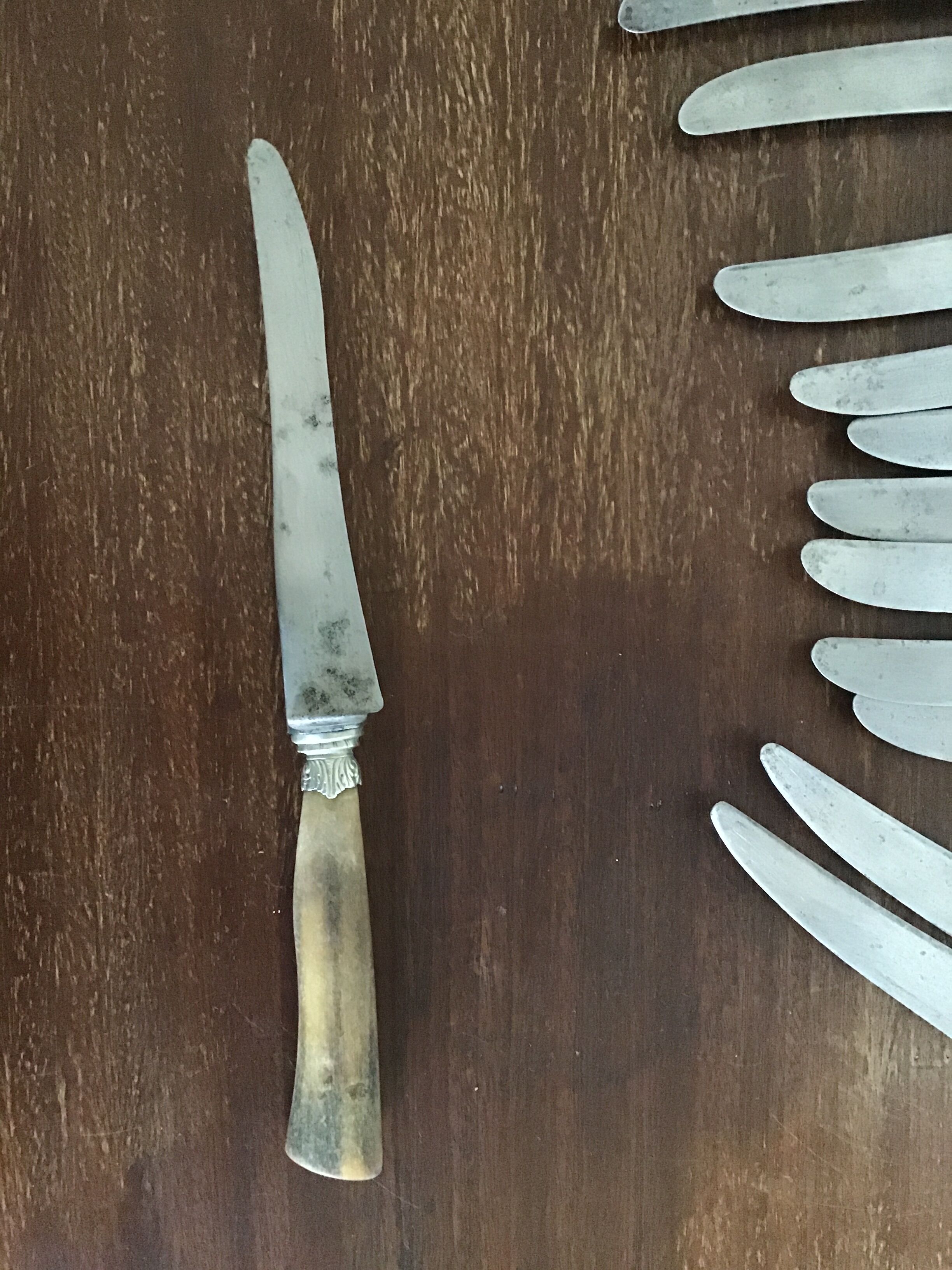 12 horned handle knives