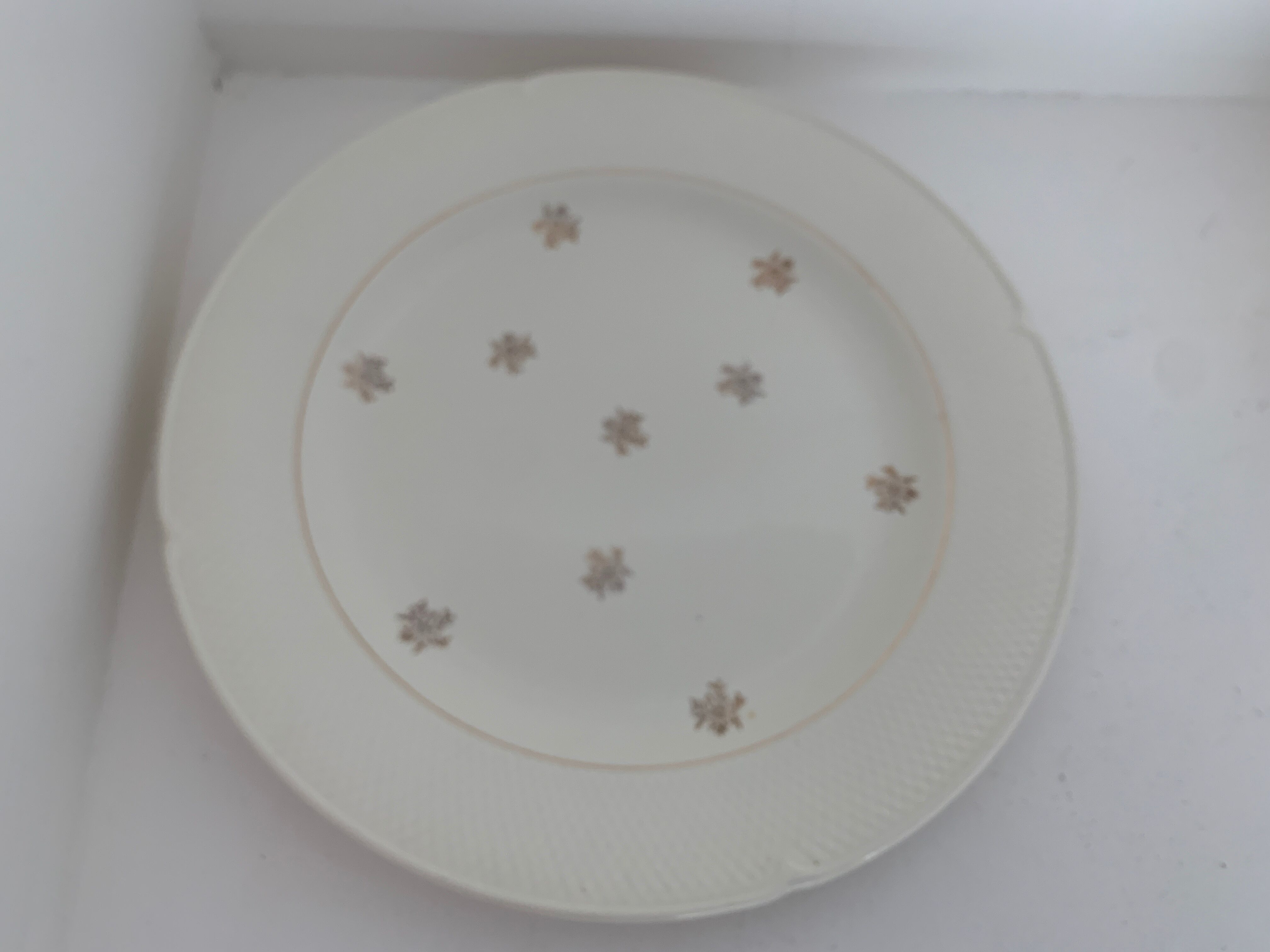 11 Salins flat plates