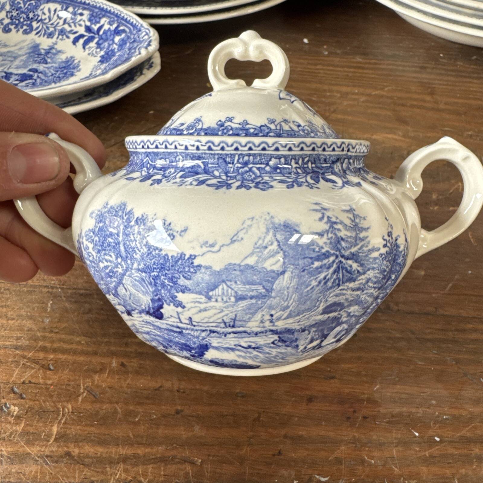 Service 51p. in earthenware Villeroy & Boch – model SAAR Burgenland