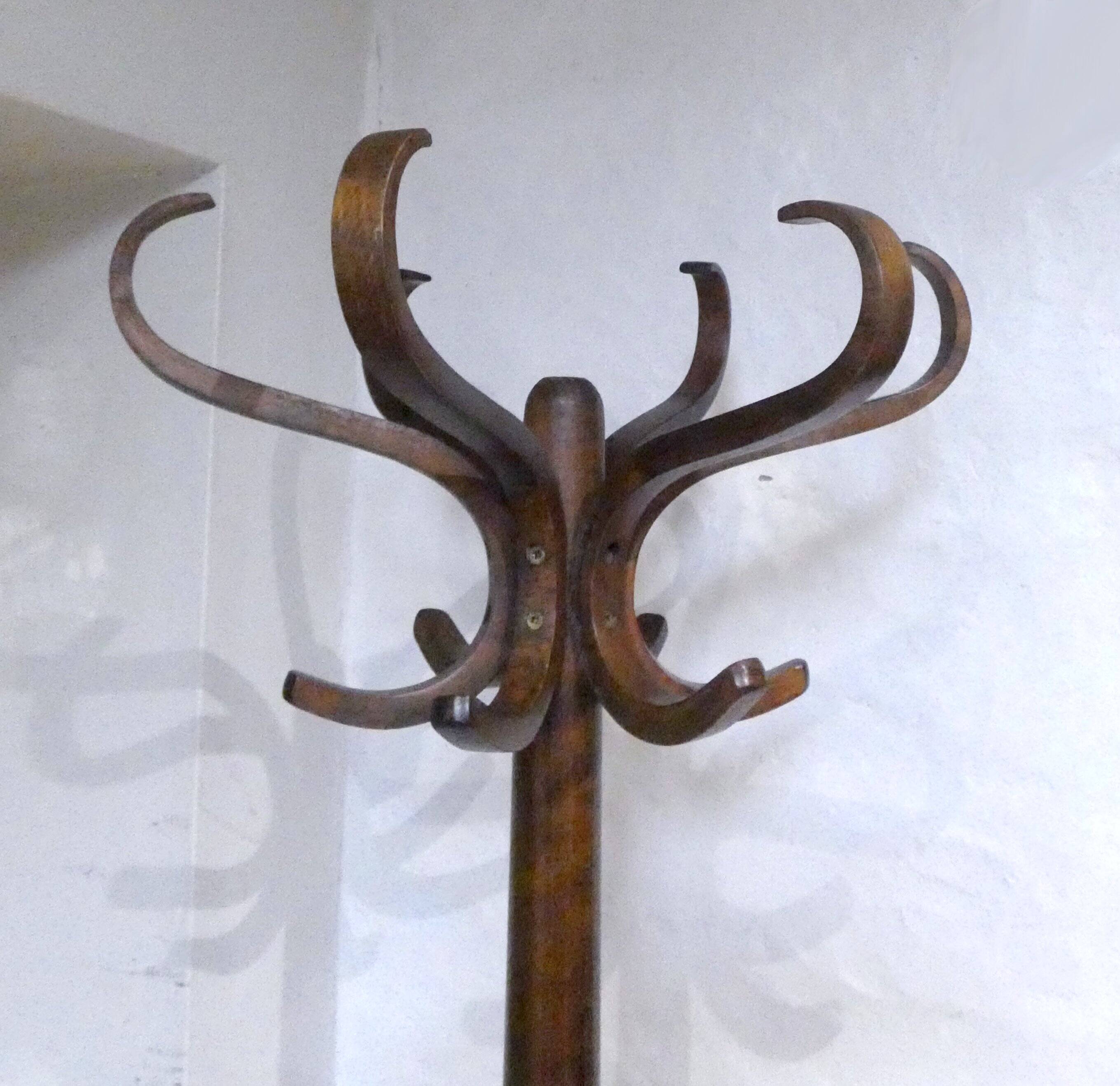 Ancien portemanteau perroquet en bois courbé