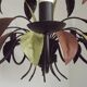 French Vintage 5 Light Brown & Green Tied Boquet Leaf Chandelier