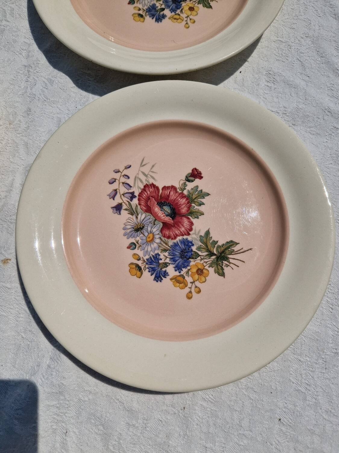 9 villeroy et boch porcelain dinner plates model 1584 25 cm