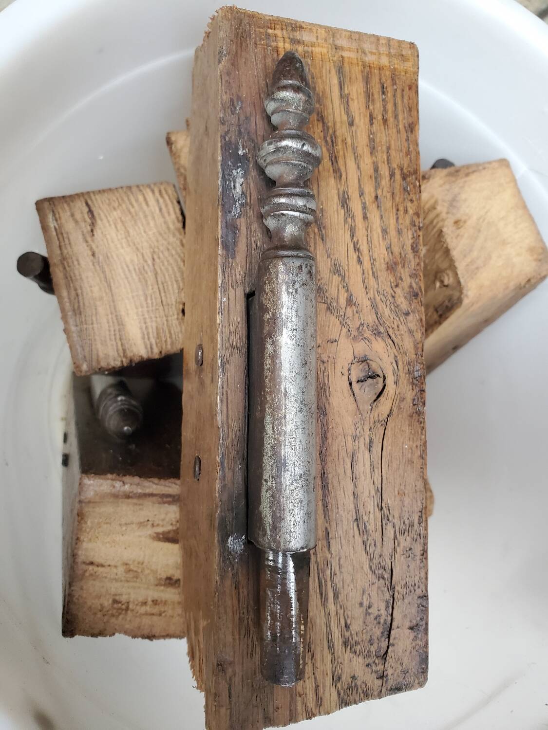 Pair of 19th century oak doors