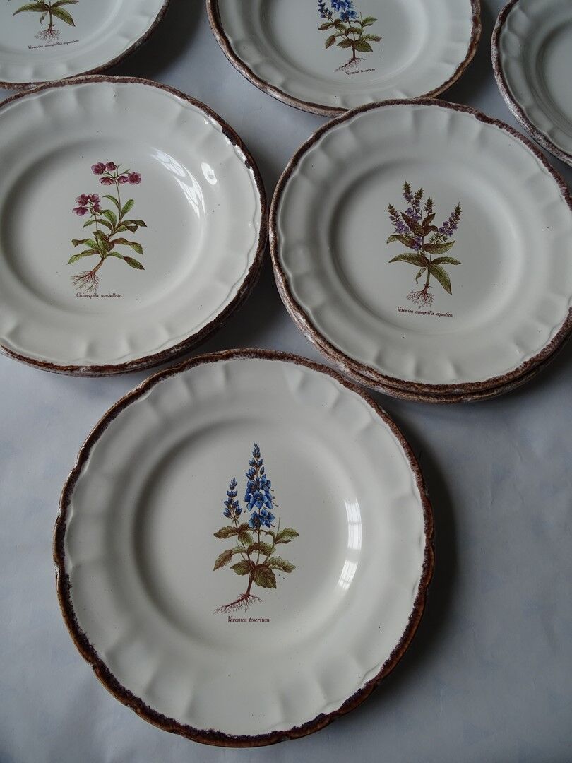 11 Plates decor plants , faience "'a d p" Haute Provence.