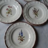 11 Plates decor plants , faience "'a d p" Haute Provence.