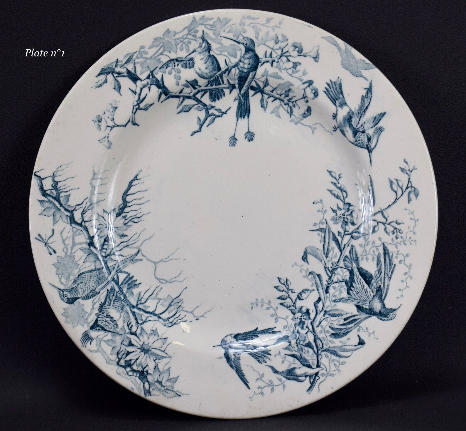 Plate colibri luneville in faience white and blue