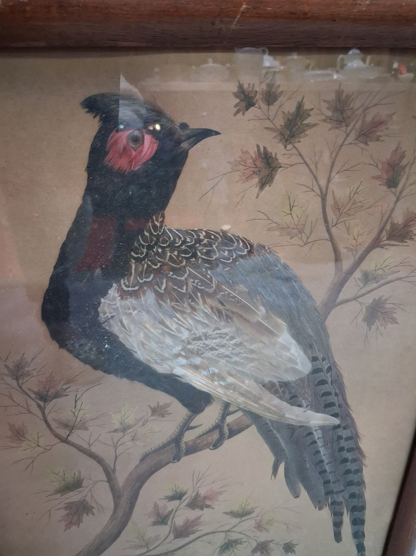 Paire de tableaux naturalistes en plumes véritables