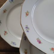 Twelve-panel floral plates

1960s.