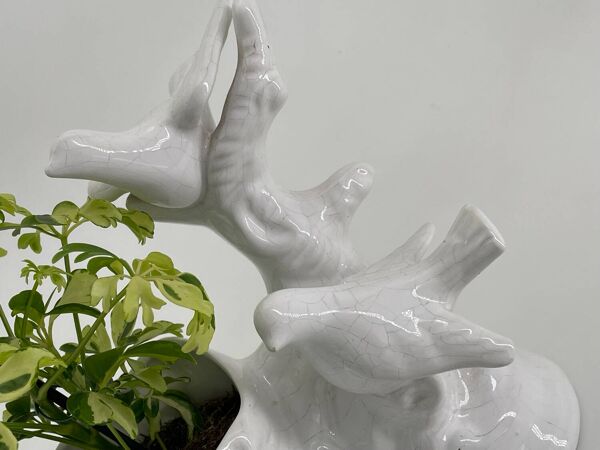 Cache pot vintage de colombes en porcelaine blanc