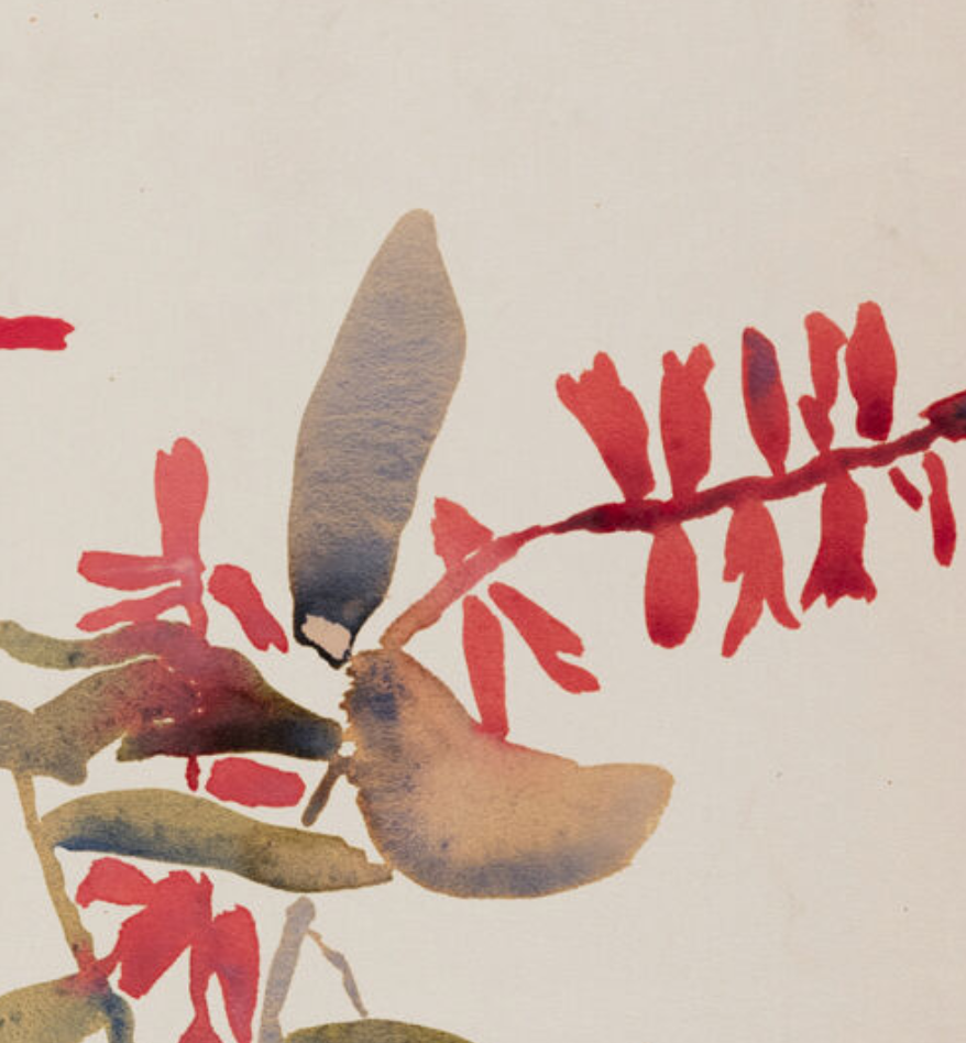 Watercolor illustration the flowers