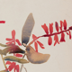 Watercolor illustration the flowers