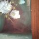 Vintage oil painting still life rose signed C.Johnson