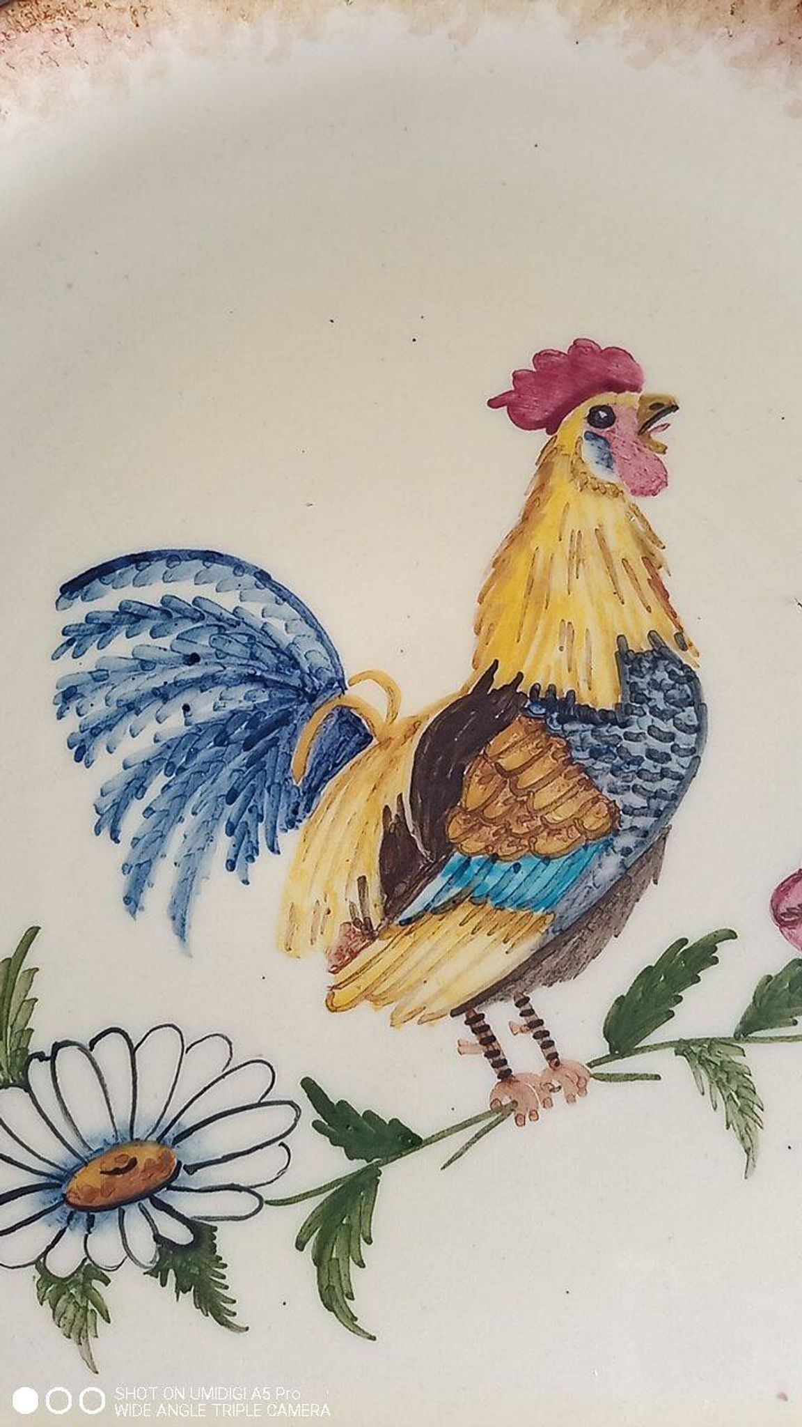 Biot ceramic - plate signed l'aiguiere - L. Gruson - hand painted - 25cm