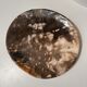 Dish in petrified wood