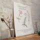 Affiche botanique tisane
