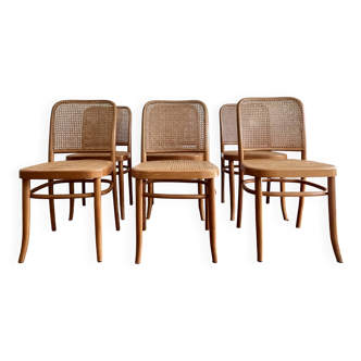 6 Prague Dining Chairs No. 811 - Hoffmann