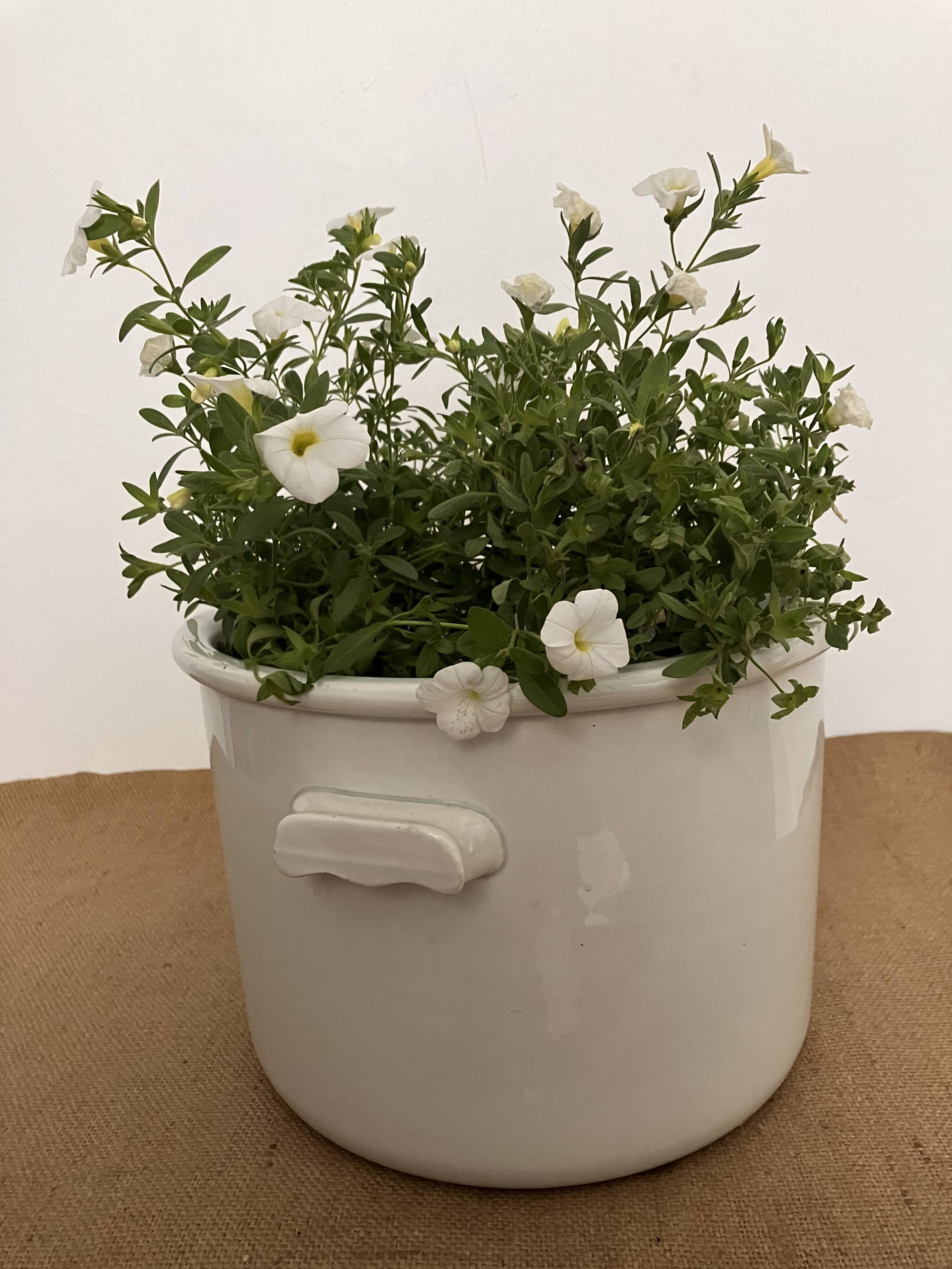 Large white earthenware pot - Creil and Montereau