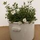 Large white earthenware pot - Creil and Montereau