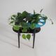 50s plant table, side table