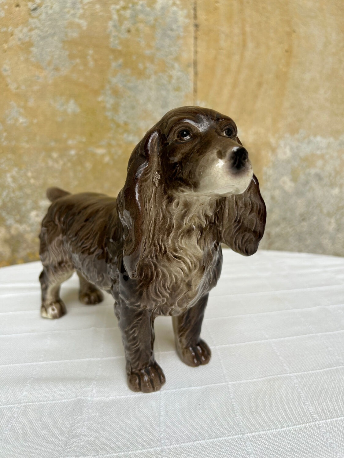 Ceramic spaniel dog