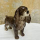 Ceramic spaniel dog