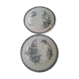 2 old plates