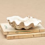 Holy water stoup shell emptier, 1970s