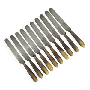 11 couteaux Corne & acier