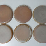 6 flat plates in Vintage stoneware