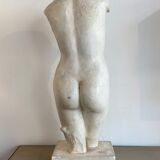 Bust in platre Atelier du Louvre