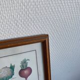 Vegetable painting