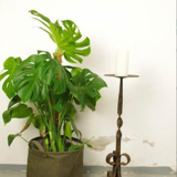 Antique steel candlestick