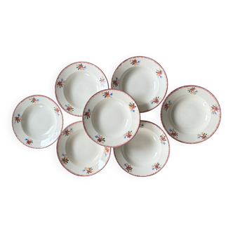 Set of Sarreguemines Evelyne plates