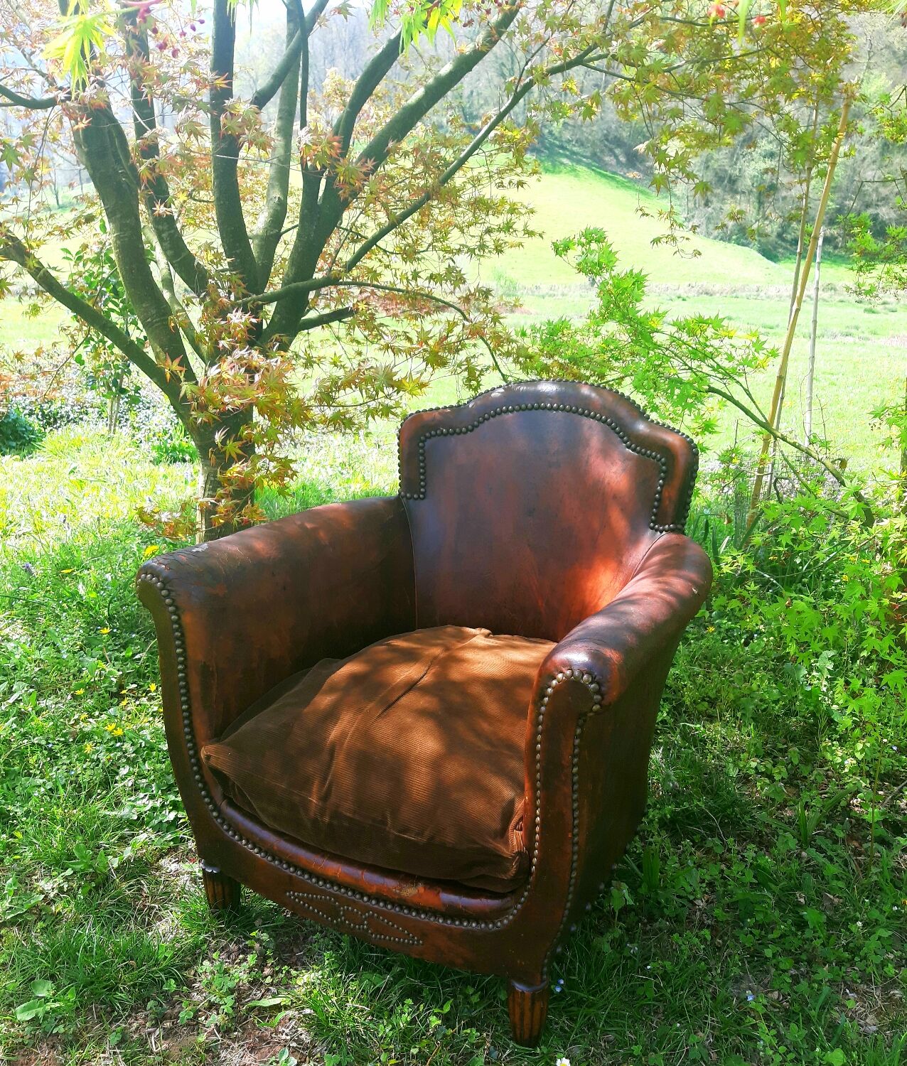 Club Armchair