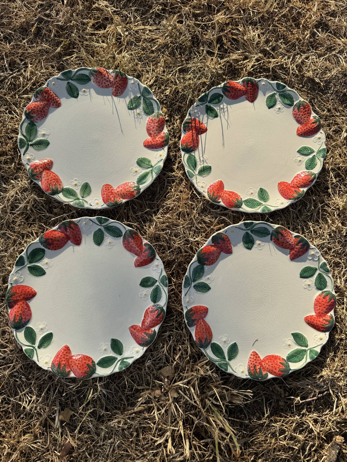 Longchamp antique strawberry barbotine plates