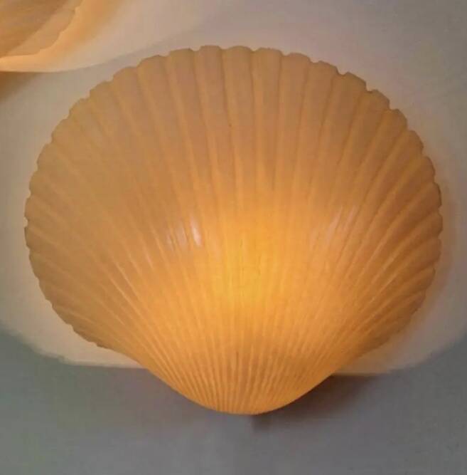 Pair of shell wall lights by Michèle Mahé, 1960s