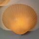 Pair of shell wall lights by Michèle Mahé, 1960s
