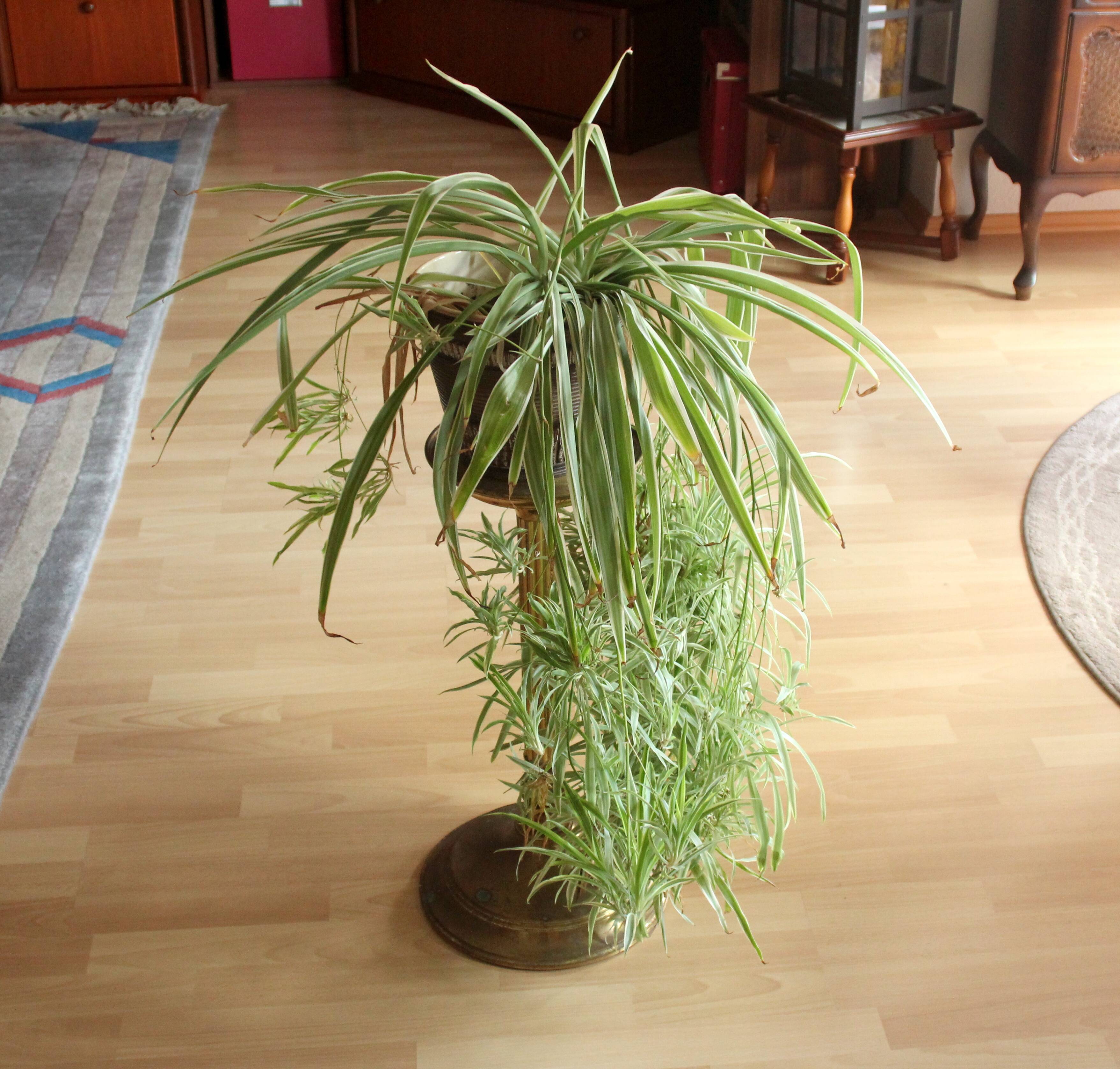 High brass and metal  pedestal - column - Vintage from the 60s