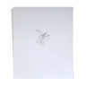 Fuchsia, original drawing