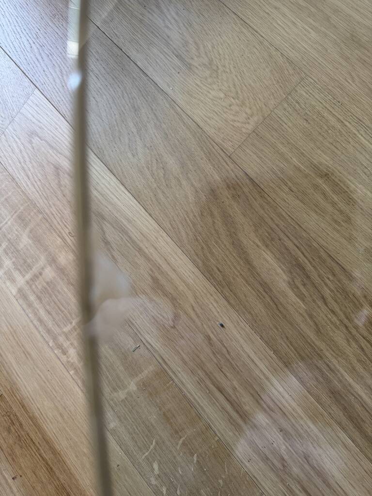 Table basse Lunario de Cini Boeri pour Knoll