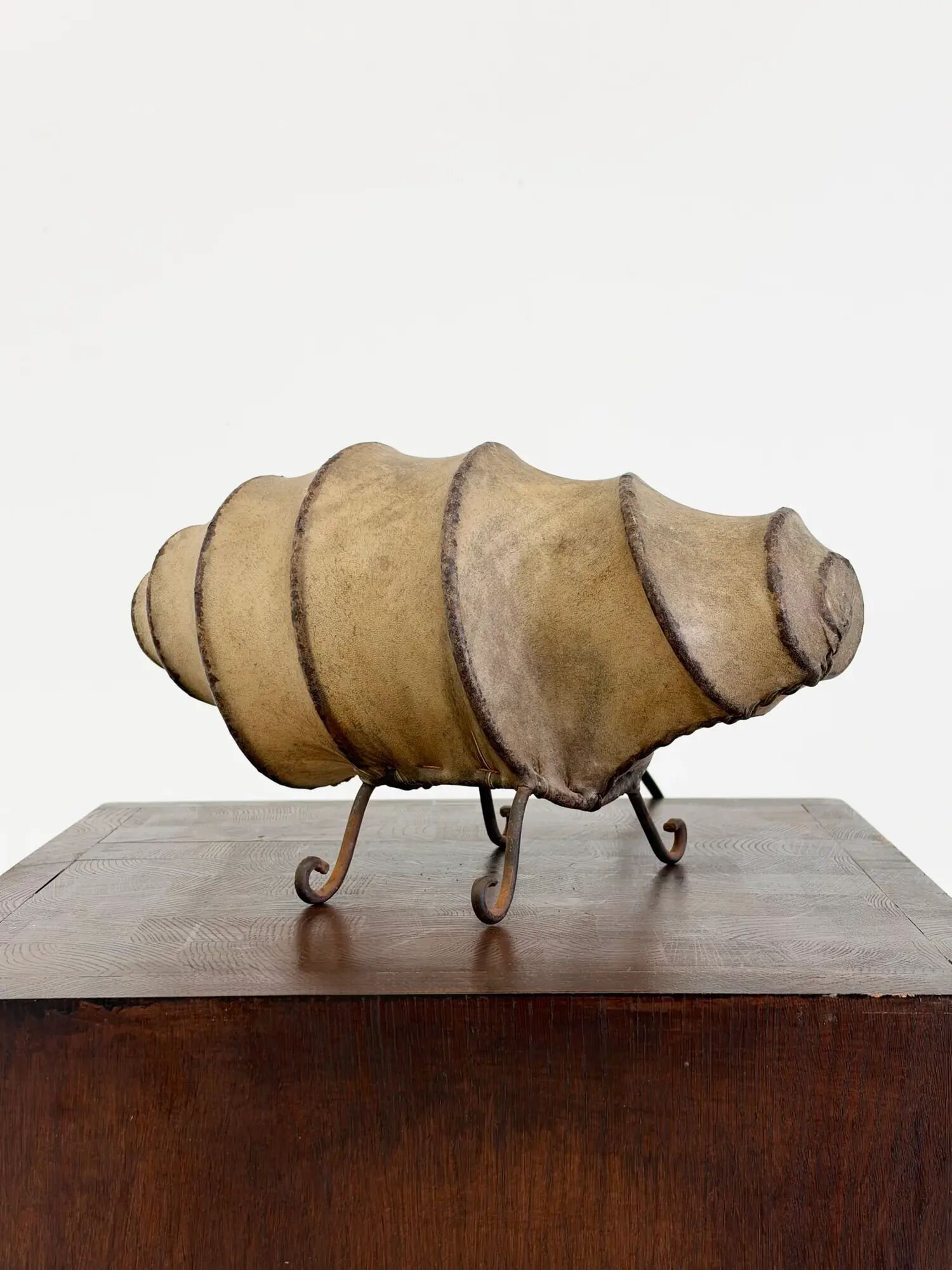 Vintage rawhide swirl table lamp with organic design