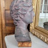 Bust of Alexander the Great