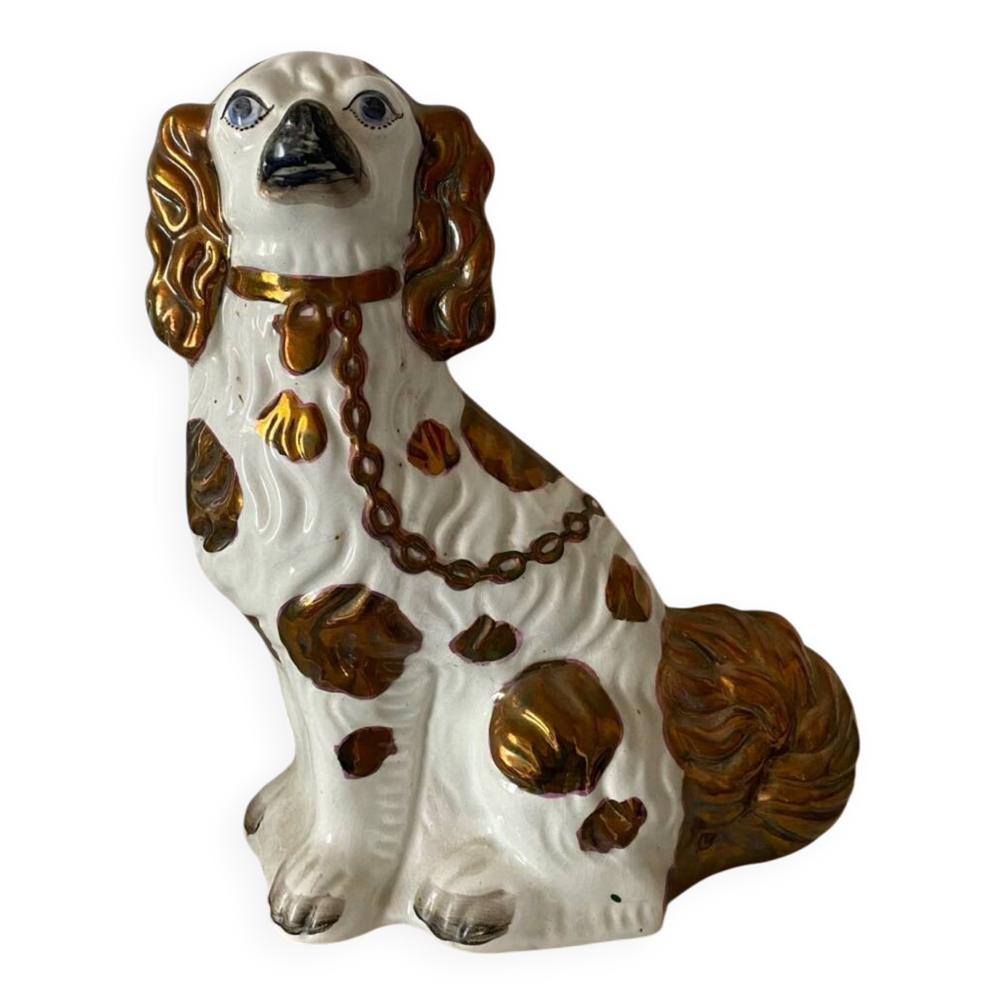 Chien Straffordshire , cavalier King, Charles